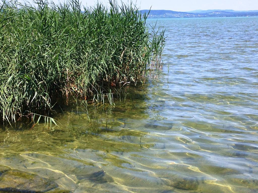 Boglari Villa Балатонлелле Номер фото